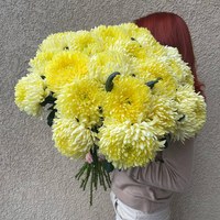 Хризантемы