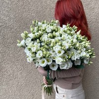 Лизиантус