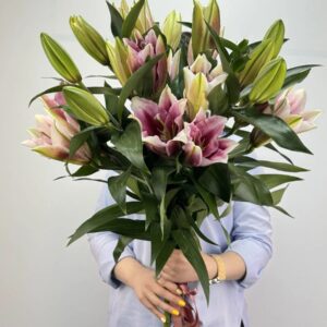 Букет из Лилий Розовых Люкс 5 шт