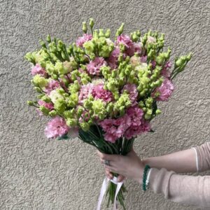 Букет из розового лизиантуса