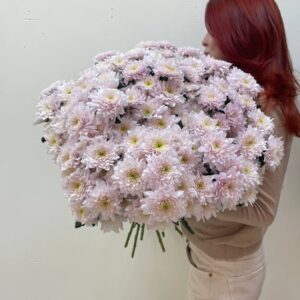 Букет из розовой кустовой хризантемы